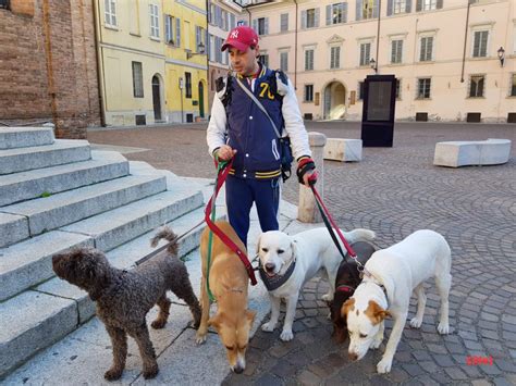 Dog Sitter a Piacenza .